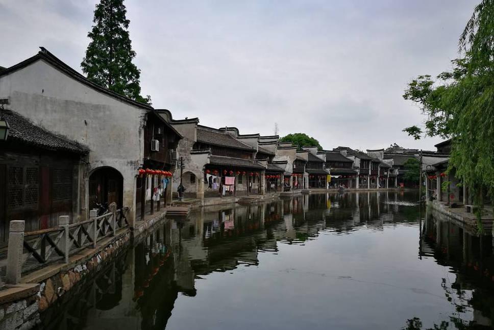 植物大战僵尸18